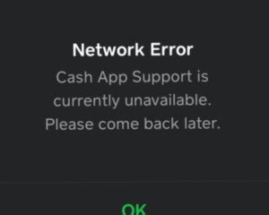 z25 app|Network Error .